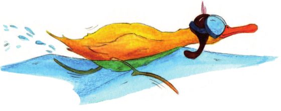 brza patka